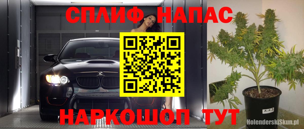 Бошки Шишки VHQ Прохладный